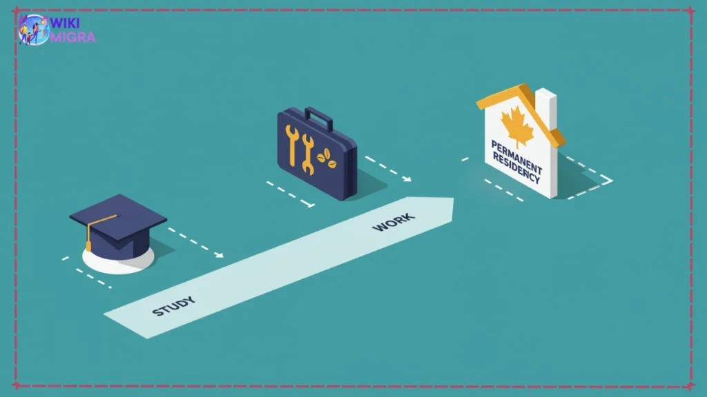 Infographic roadmap illustrating pathway from study and work to Canadian permanent residence for international students (PR pathway).